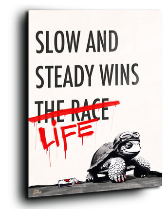 Slow and steady wins life