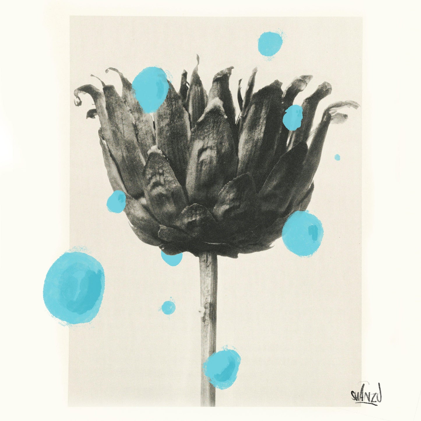 Blue drops - Hans Breuker