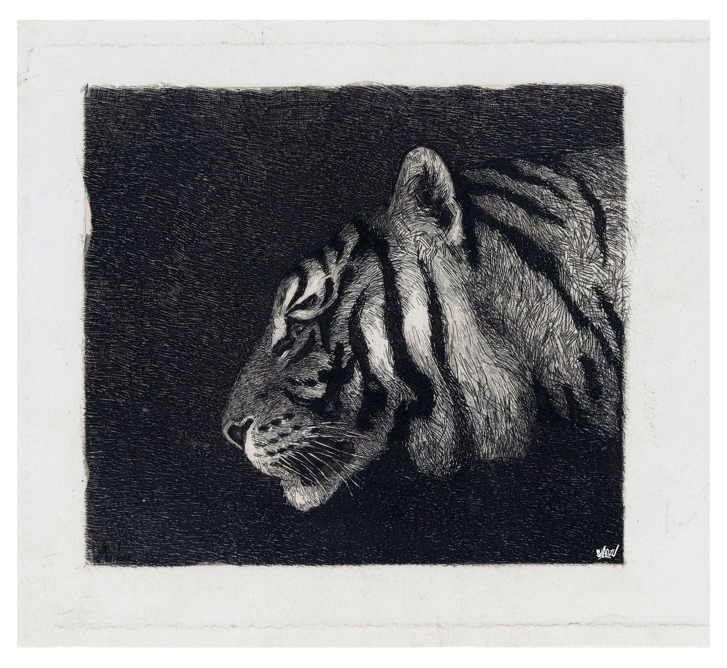 Tijger pentekening - Hans Breuker