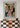 venividovino  op goud karton 50 x 70 cm.