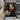 Mozart Googly