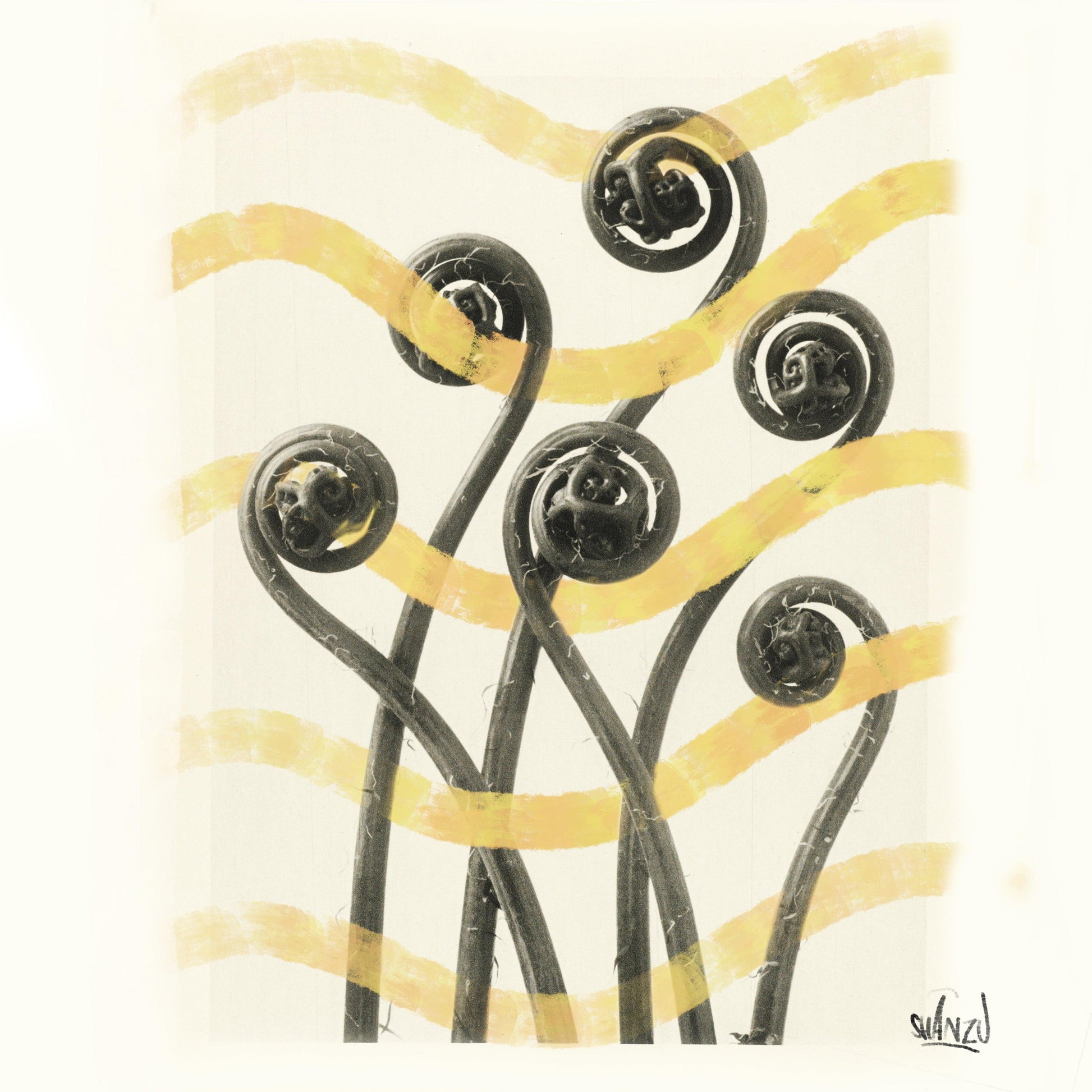 Wind and seeds - Hans Breuker